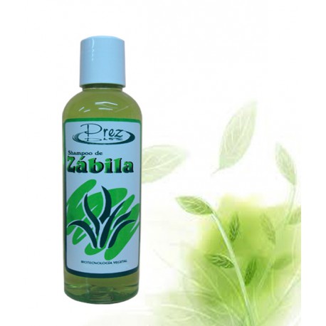 Shampoo de Zábila